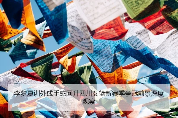 李梦夏训外线手感回升四川女篮新赛季争冠前景深度观察