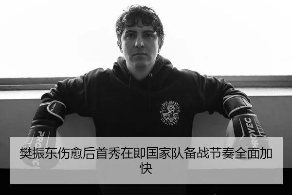 樊振东伤愈后首秀在即国家队备战节奏全面加快